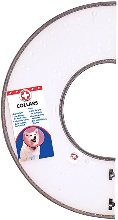 Cardinal Labs Clear E-Collar