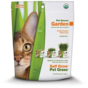 Garden Self Grow Wheat Grass