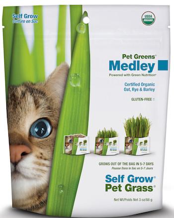 Medley Self Grow Cat Grass