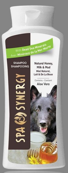 Spa Synergy Honey & Milk Shampoo