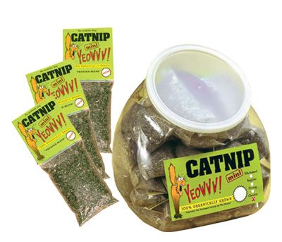 Yeowww Mini Catnip