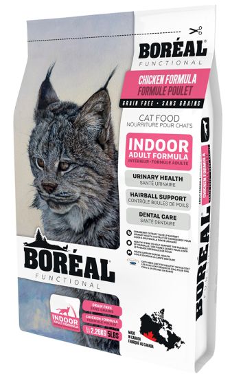 Boreal Indoor Cat