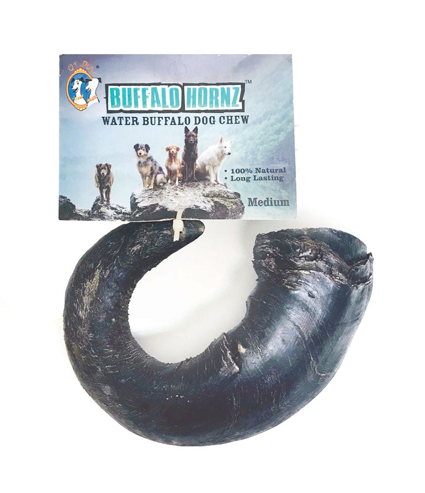 QT Buffalo Horn