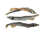 Load image into Gallery viewer, This &amp; That Sydney&#39;s Harbour Capelin 71g
