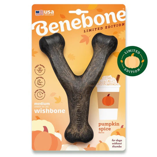 Benebone Wishbone Pumpkin Spice