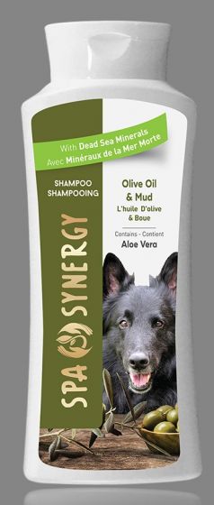 Spa Synergy Olive Oil Shampoo