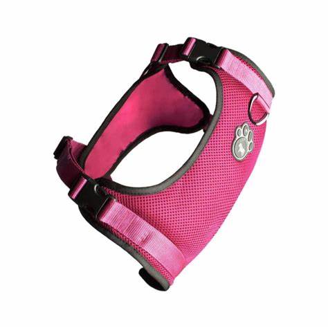 CP Everything Harness Pink