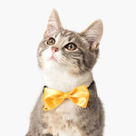 Load image into Gallery viewer, Catit Bow Tie Collar
