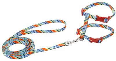 Coastal Fashion Harness & Leash Multi Color